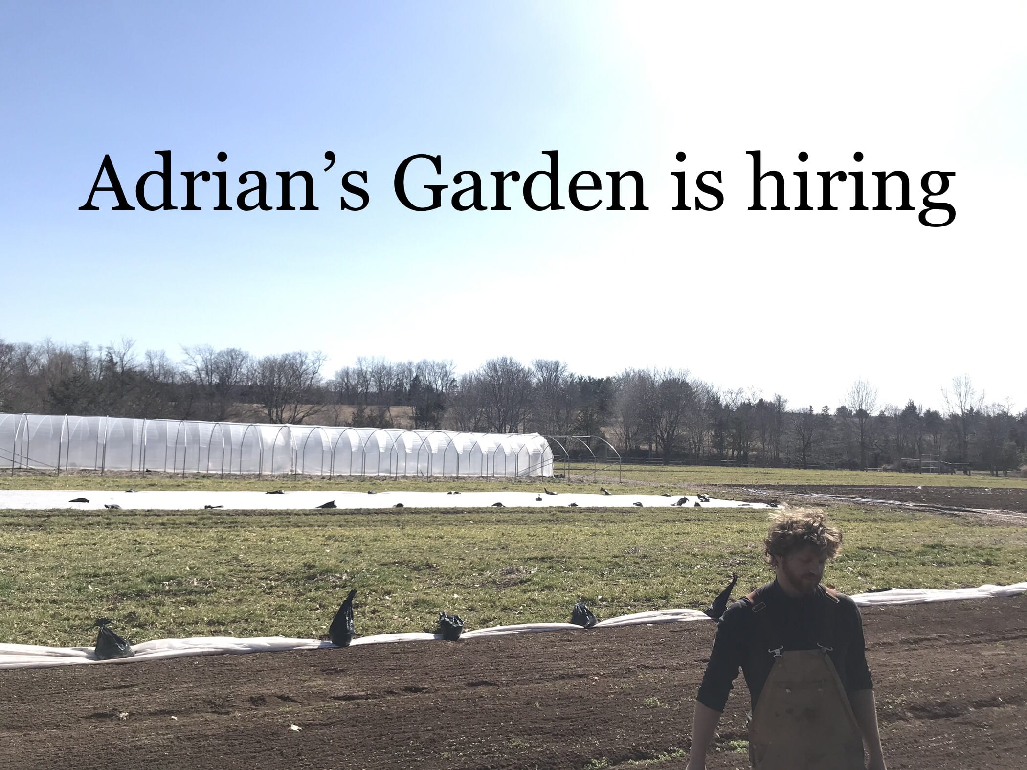 在新泽西州的艾德里安花园雇佣了一个兼职农民
